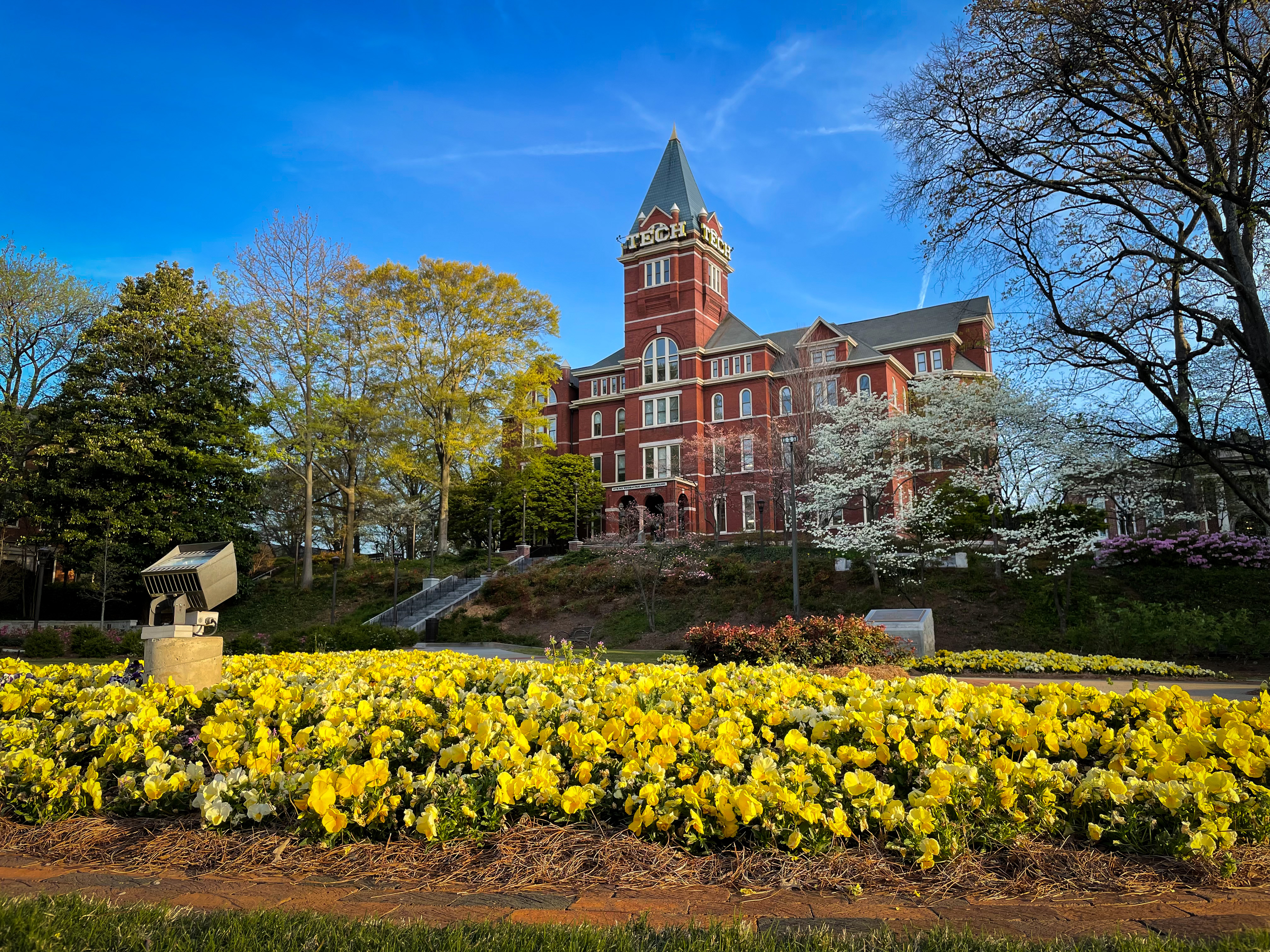 An exterior shot of Tech Tower, with yellow flowers visible in the foreground.