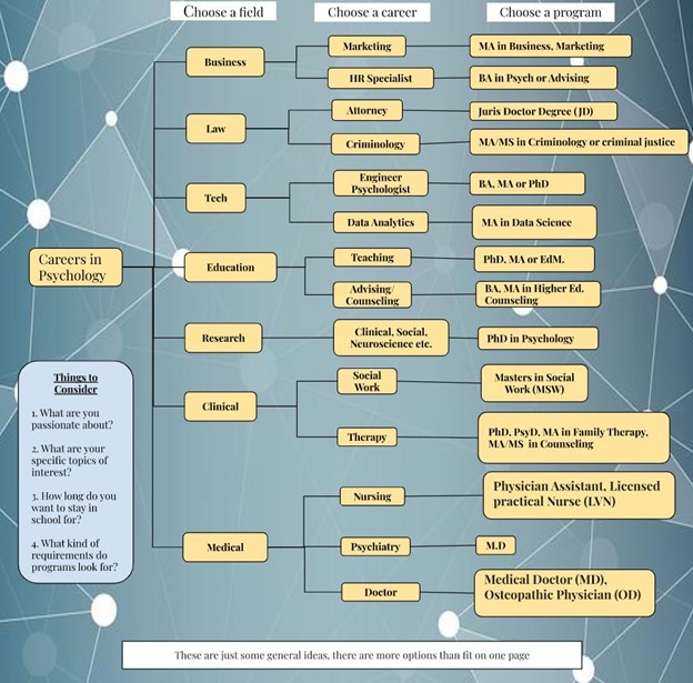Career Path Flowchart