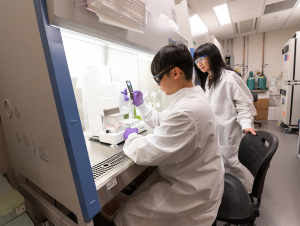 Researchers in Nga Lee (Sally) Ng's lab