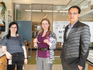 Alzheimer's 40 Hertz flicker researchers