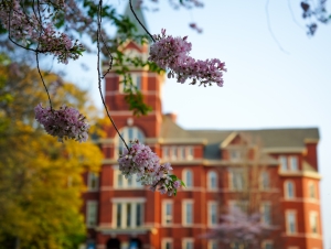 Flowers in front of Georgia Tech's Tech Tower
