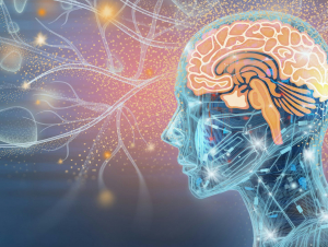 The human brain has 86 billion neurons that make trillions of connections. Grafissimo/DigitalVision Vectors via Getty Images